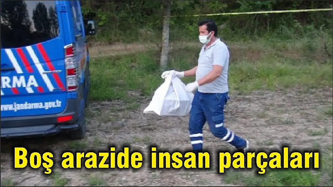 Boş arazide insan parçaları