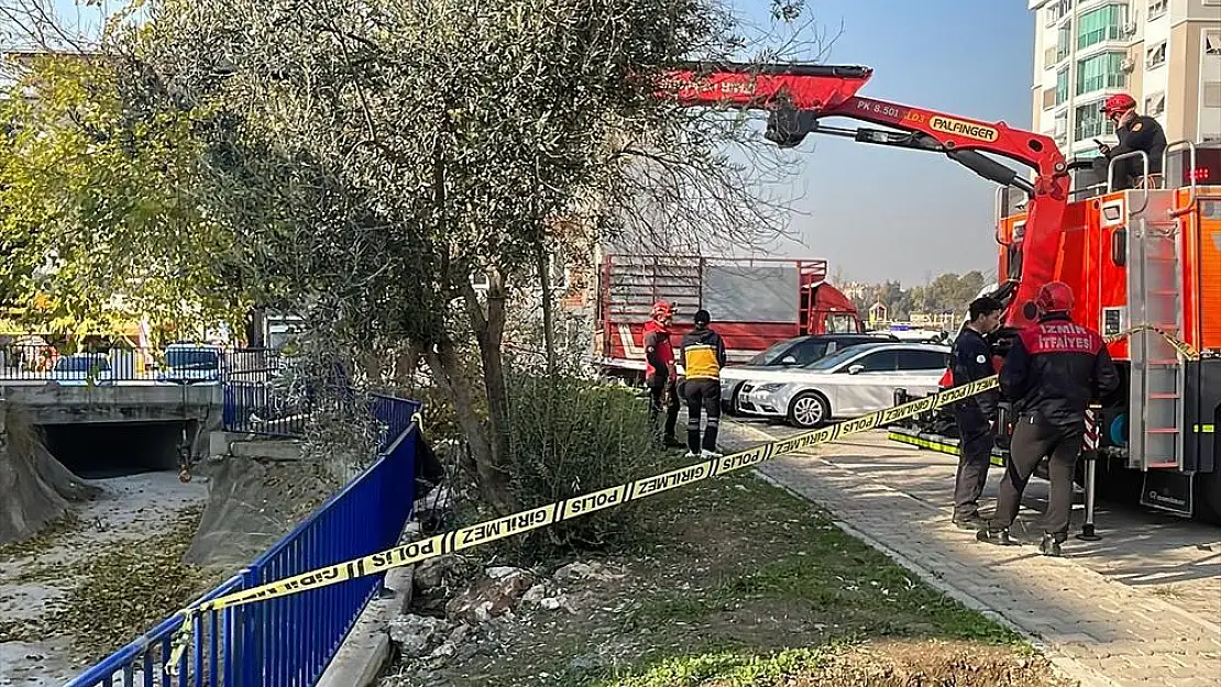 Buca'da zeytin ağacından düşen kişi öldü