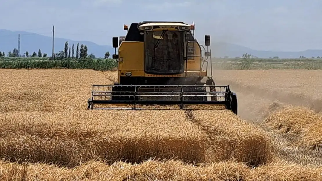 Buğday ve arpa fiyatları güncellendi işte yeni liste