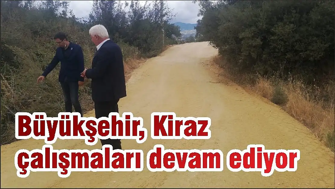 Büyükşehir, Kiraz çalışmaları devam ediyor