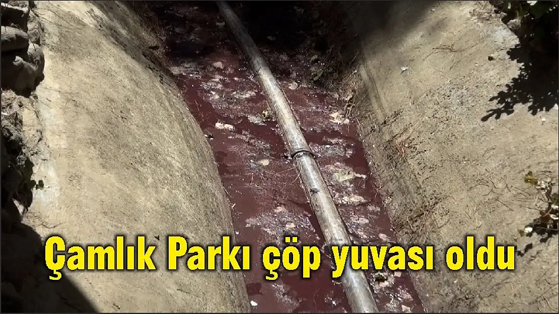 Çamlık Parkı çöp yuvası oldu