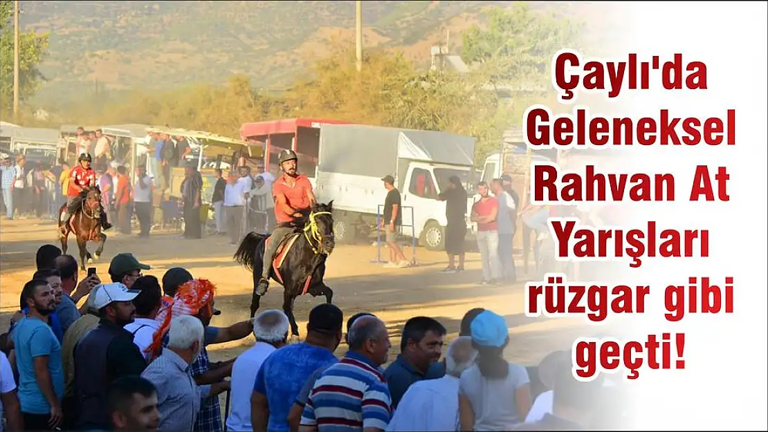 Çaylı’da Geleneksel Rahvan At Yarışları rüzgar gibi geçti!