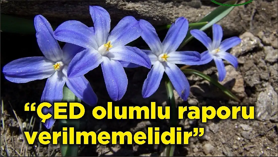 'ÇED olumlu raporu verilmemelidir'