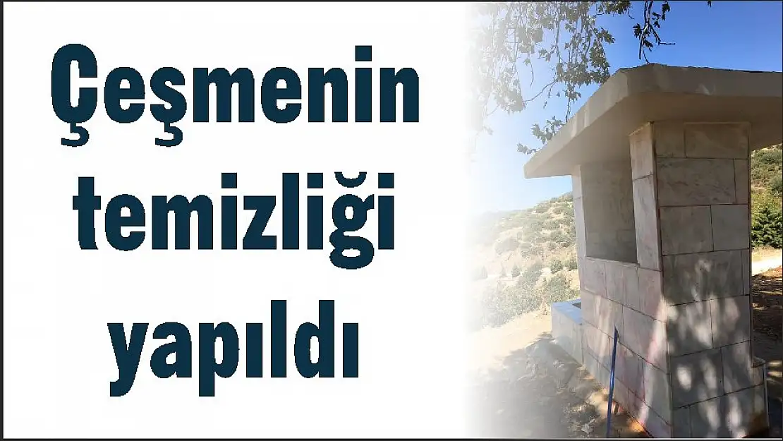 Çeşmenin temizliği yapıldı