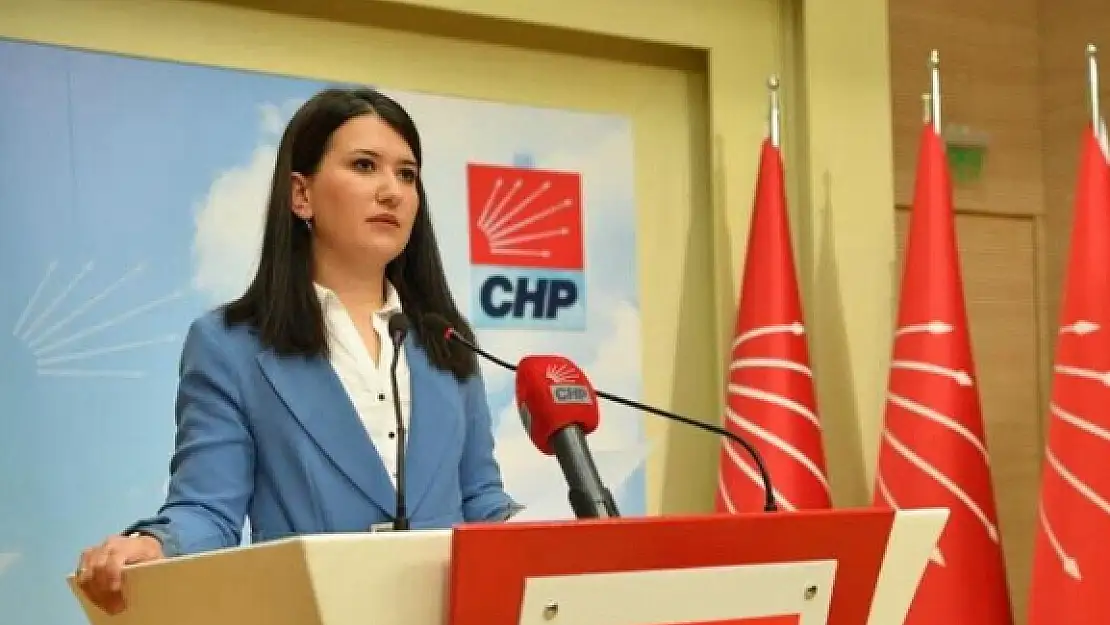 CHP’li Gökçen Bakan Tekin’e ÇEDES’i sordu