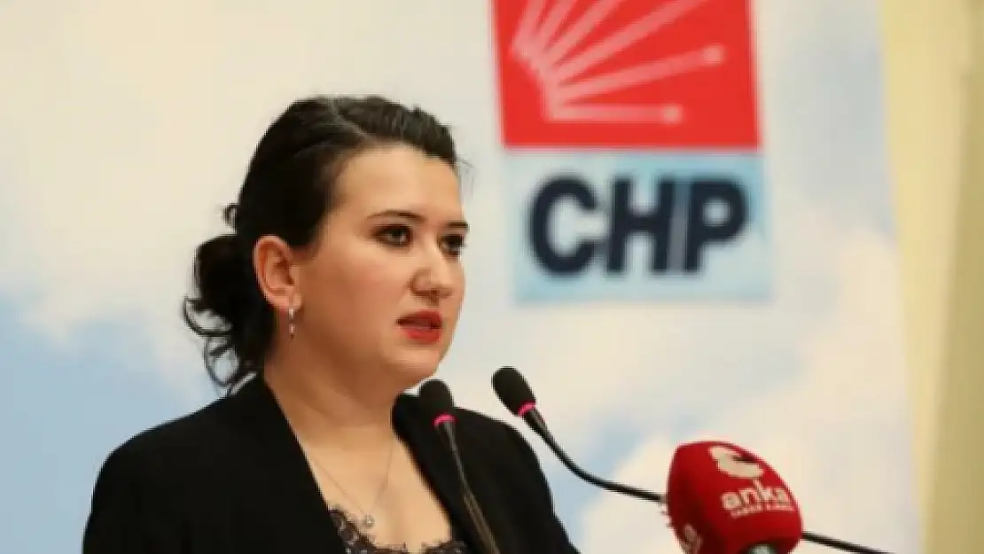 CHP’li Gökçen’den AK Parti’ye 6284 tepkisi