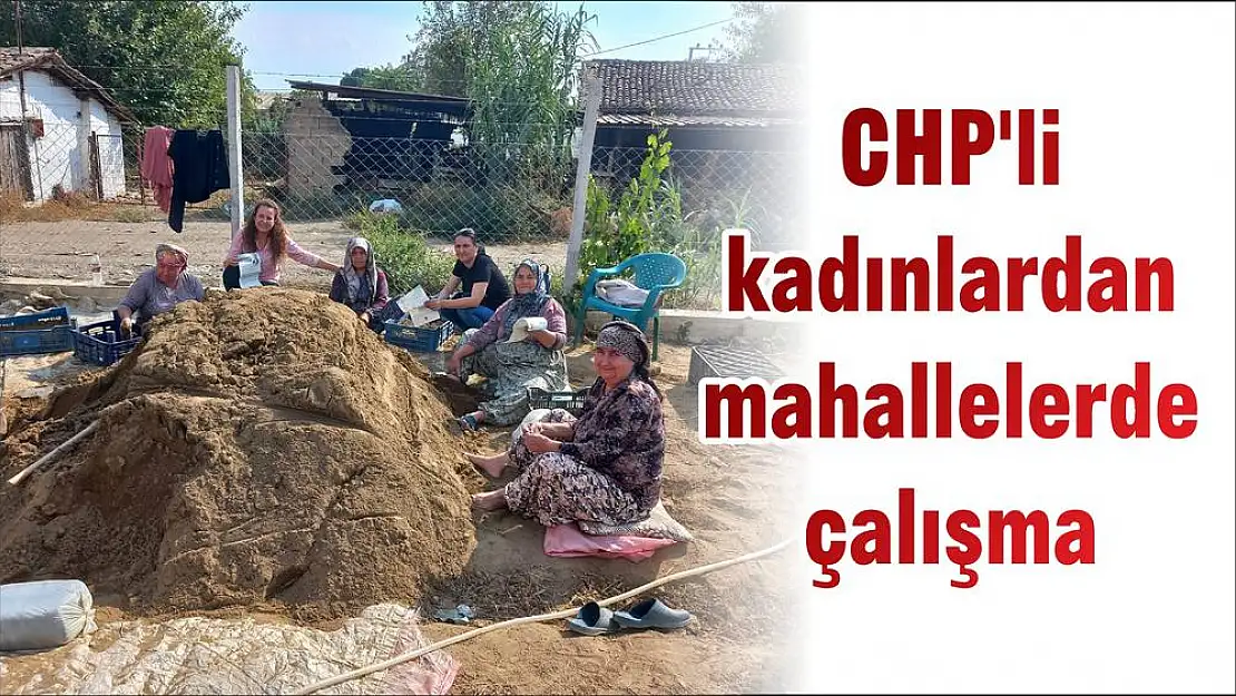 CHP'li kadınlardan mahallelerde çalışma