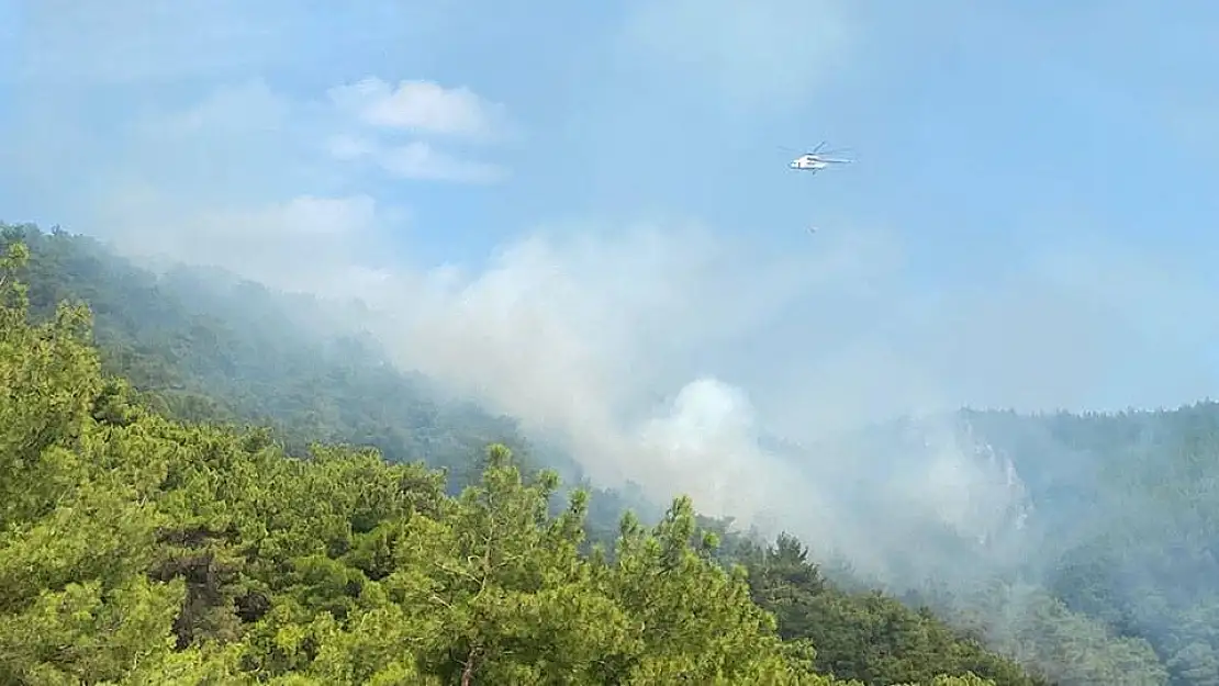 Ciğerlerimiz tekrardan yanıyor!