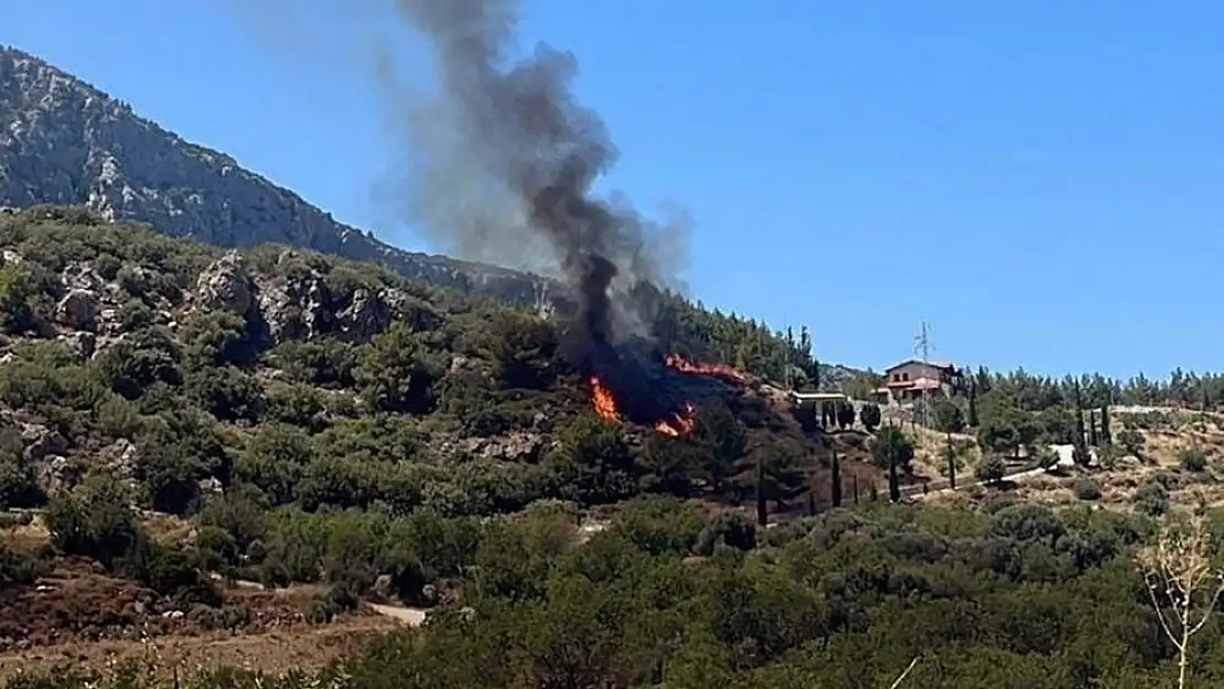 Datça'da orman yangını