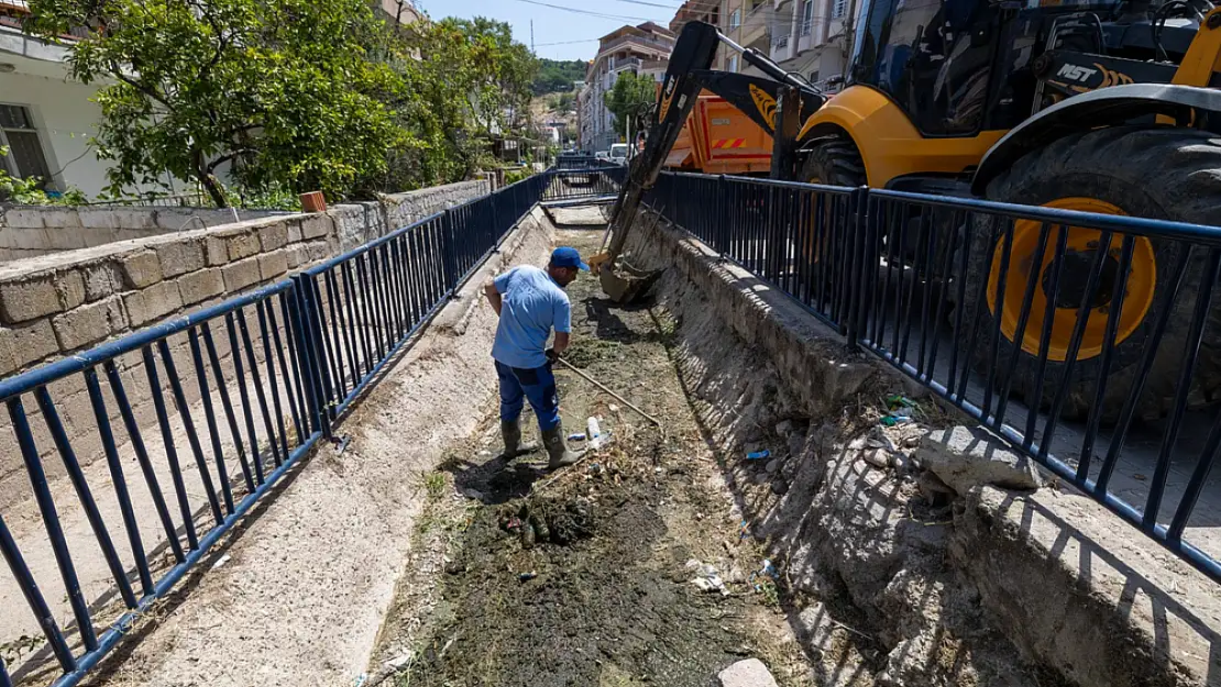 Dikili'deki Sülüklü Deresi temizlendi