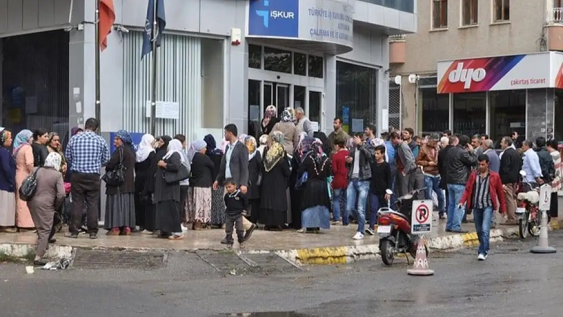 Diyarbakır’da 9 aylık işe rekor başvuru