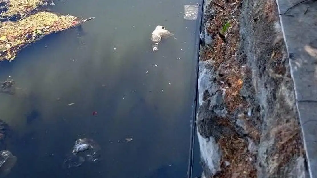 Doğa Göz Göre Göre Kirleniyor: Gölcük Gölü'nde Çöp Manzarası