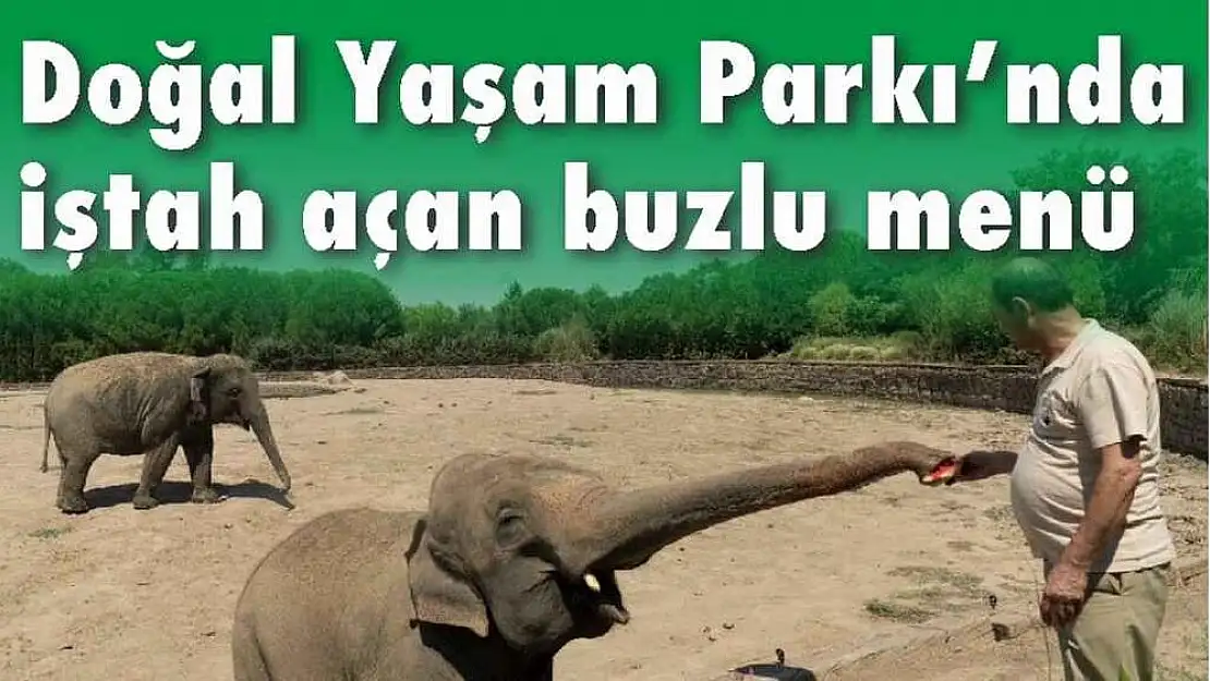 Doğal Yaşam Parkı'nda iştah açan buzlu menü