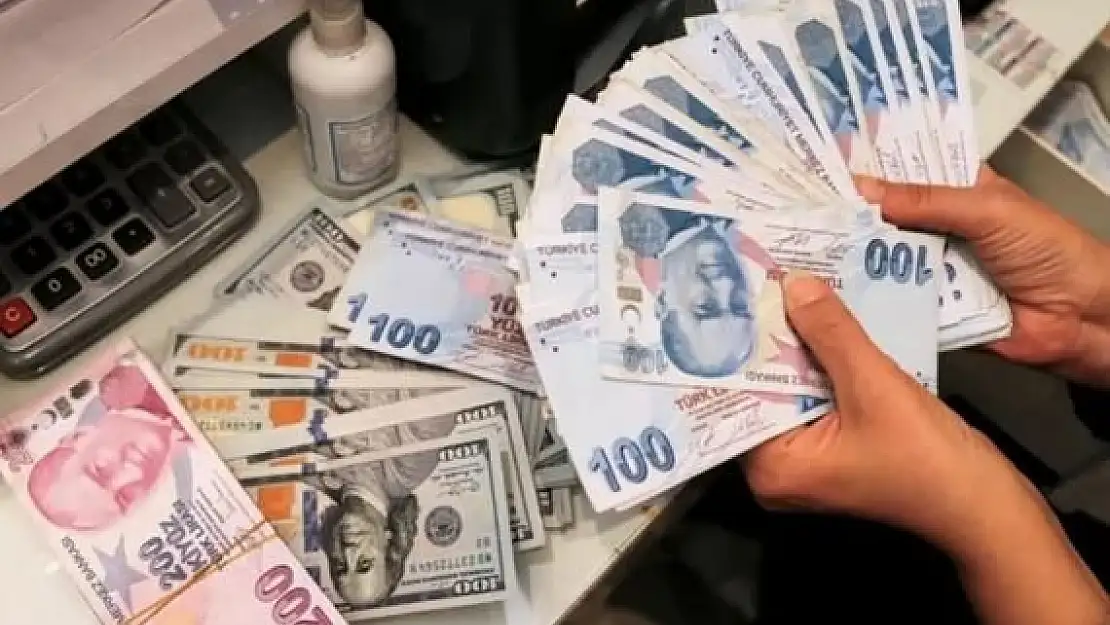 Dolar neden durdurulamıyor