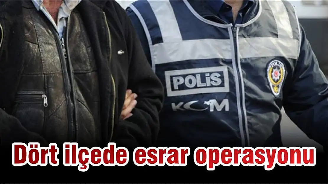 Dört ilçede esrar operasyonu