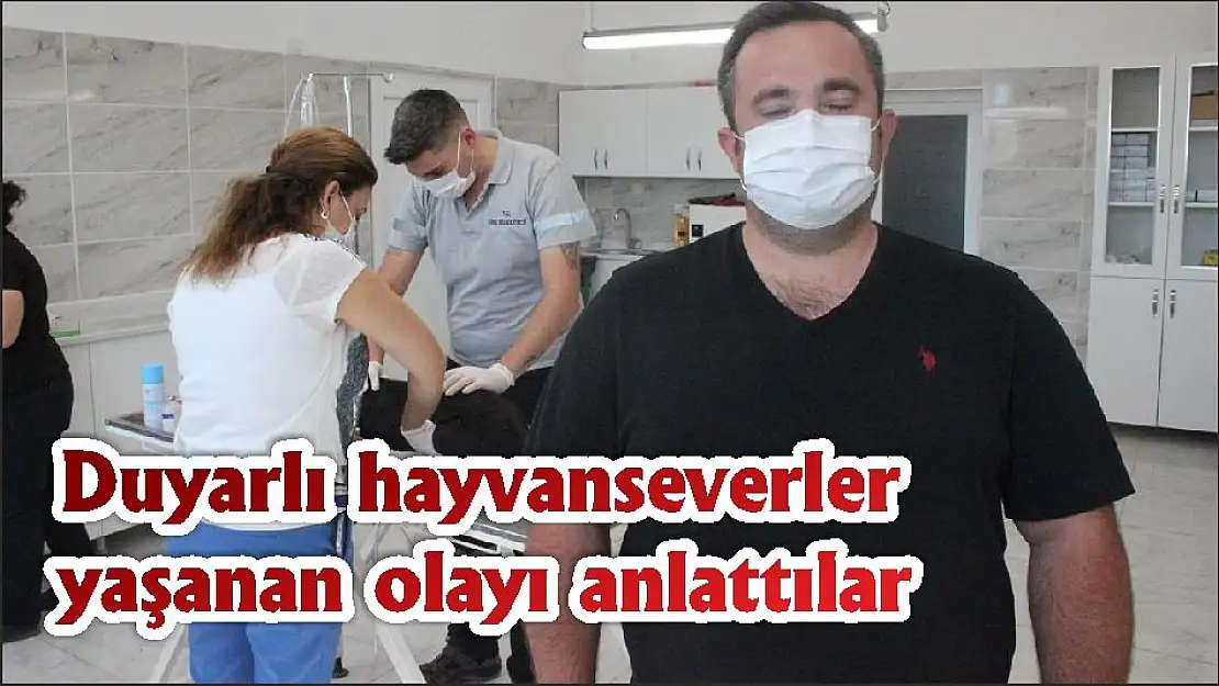 Duyarlı hayvanseverler yaşanan olayı anlattılar