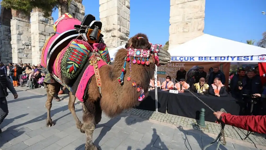 EFES SELÇUK DEVE GÜREŞLERİ FESTİVALİNDE ALTIN HAVAN SAHİBİNİ BULDU