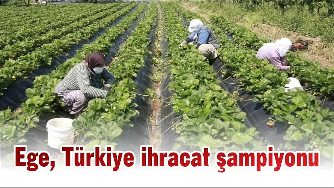 Ege, Türkiye ihracat şampiyonu