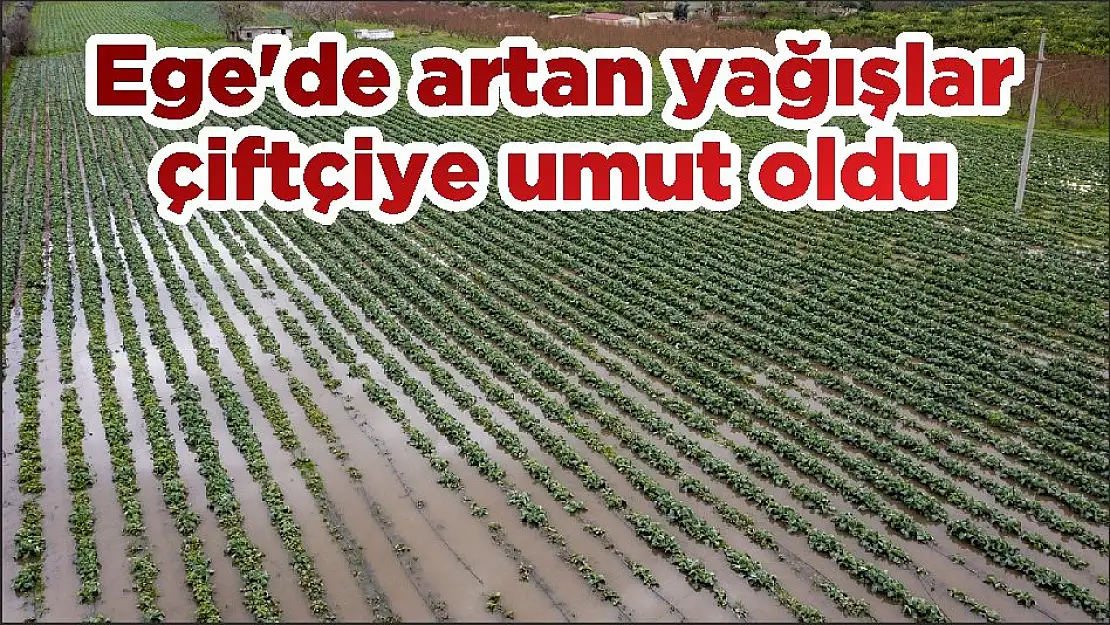 Ege’de artan yağışlar çiftçiye umut oldu