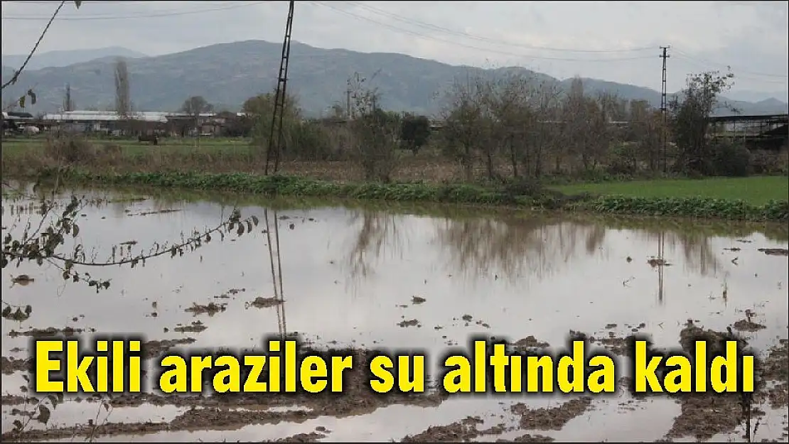 Ekili araziler su altında kaldı
