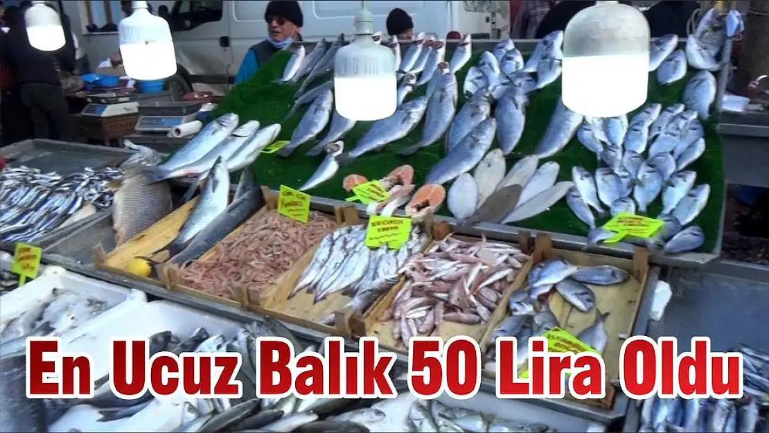 En Ucuz Balık 50 Lira Oldu