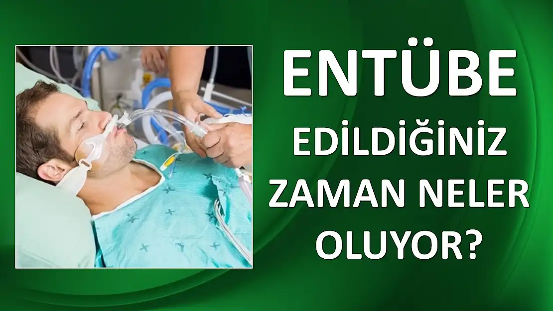 entübe nedir ve ne anlama gelir