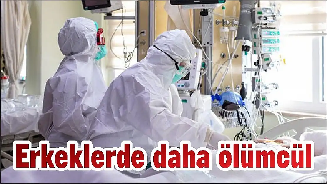 Erkeklerde daha ölümcül