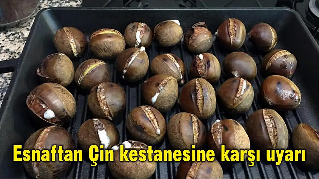 Esnaftan Çin kestanesine karşı uyarı