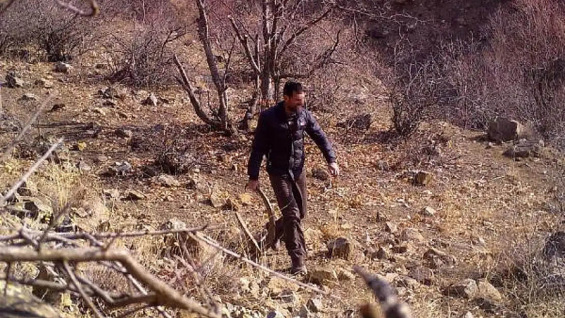 Fotokapana yakalanan avcıya ceza