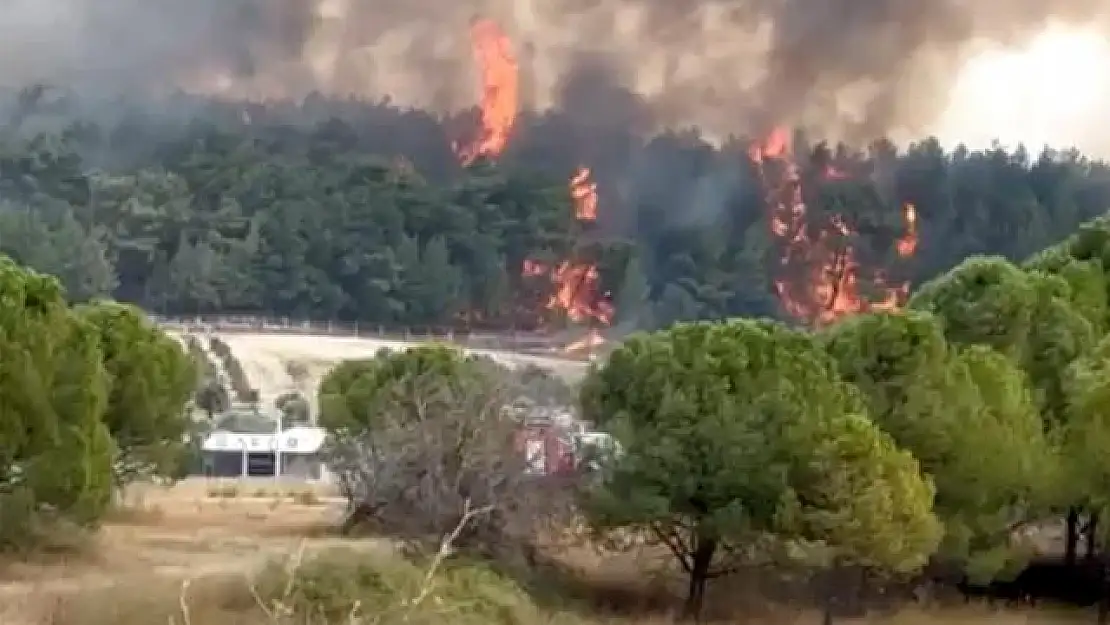 Gaziemir’deki Orman Yangınına Hızlı Müdahale Devam Ediyor