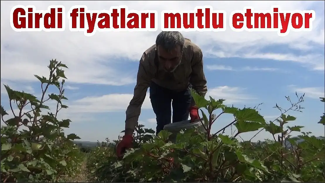 Girdi fiyatları mutlu etmiyor