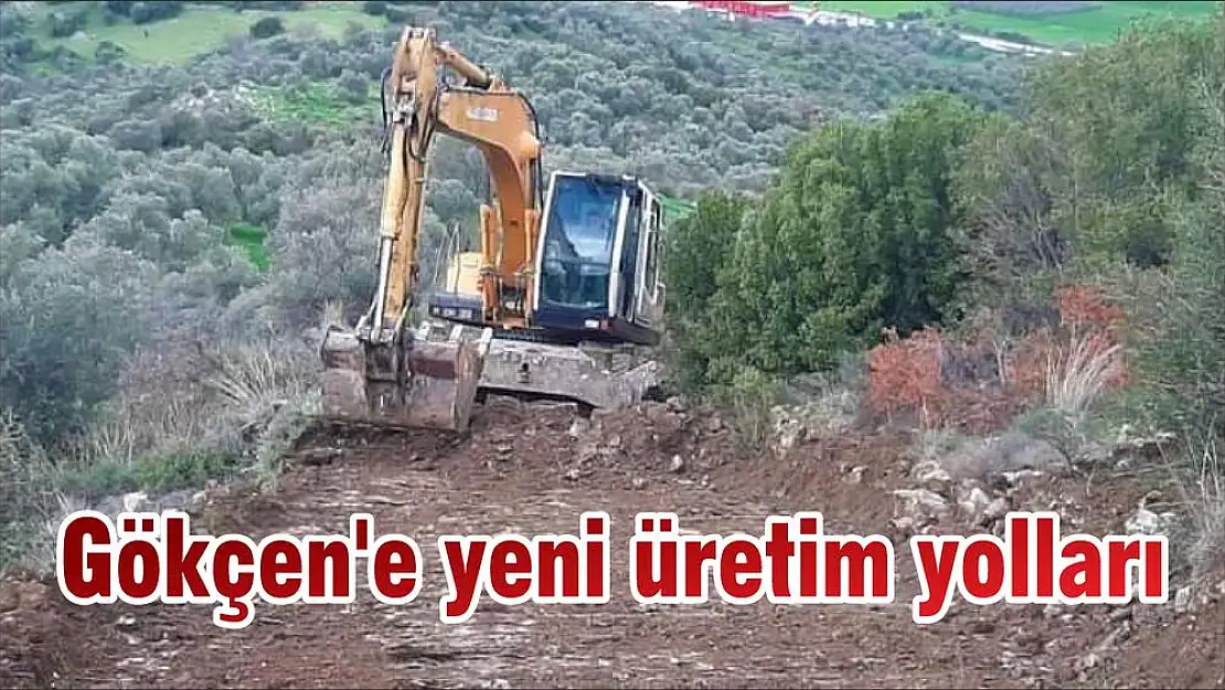 Gökçen'e yeni üretim yolları