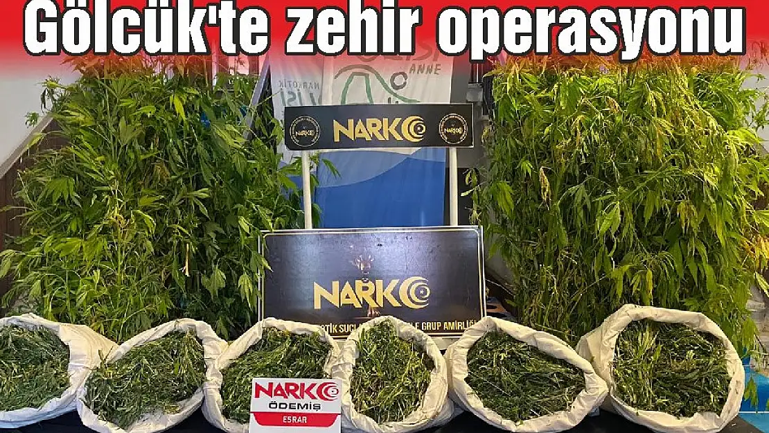 Gölcük'te zehir operasyonu