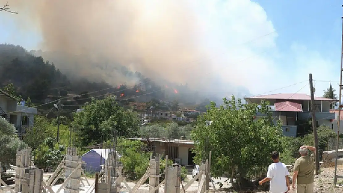 Hatay’da orman yangını