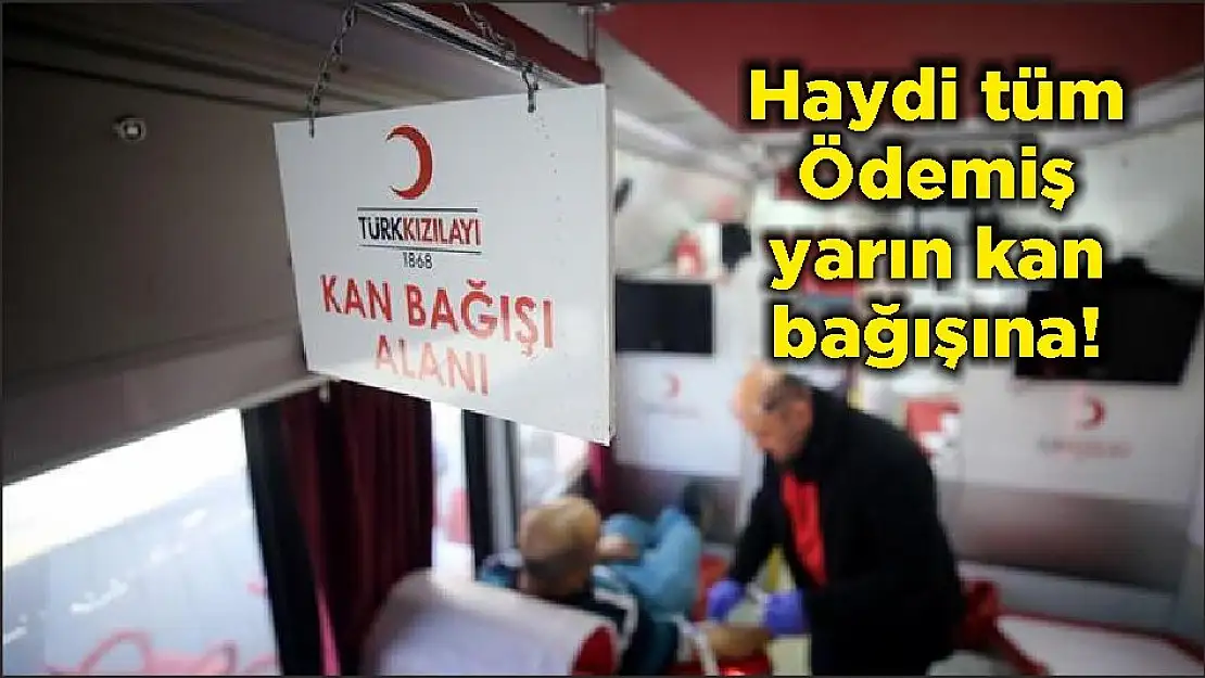 Haydi tüm Ödemiş yarın kan bağışına!