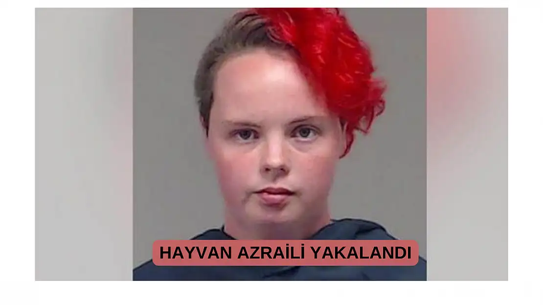 Hayvan azraili yakalandı