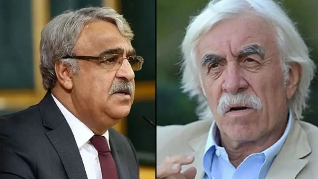 HDP Eş Genel Başkanı Sancar’dan Çandar’ın ‘dekorasyon’ ifadesine tepki