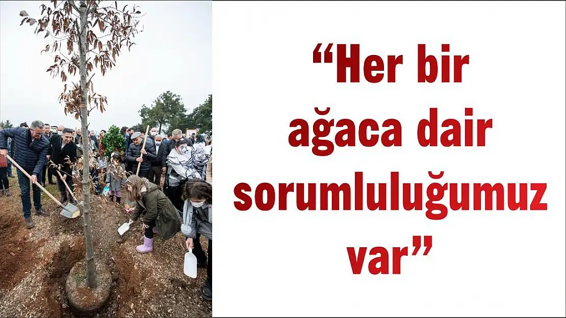 'Her bir ağaca dair sorumluluğumuz var'