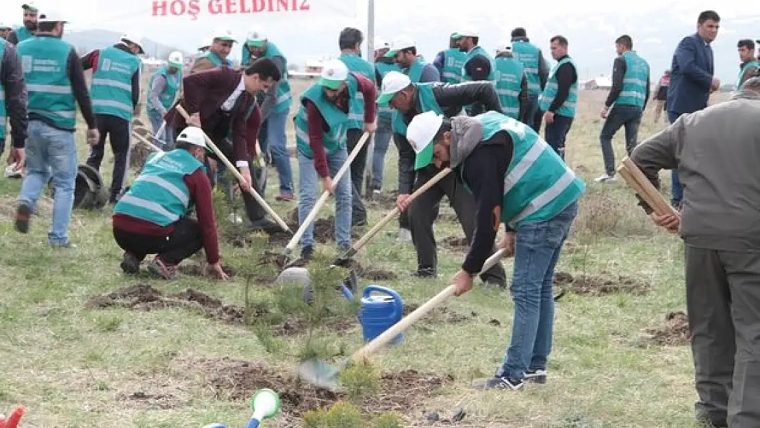 Hükümlüler ormanları yeşertiyor