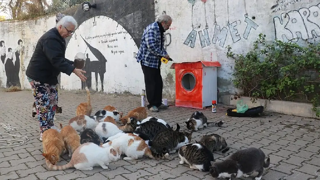 Hurda çamaşır makinesi ve atıklardan “kedi evi” yapıyor