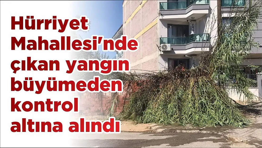 Hürriyet Mahallesi'nde çıkan yangın büyümeden kontrol altına alındı