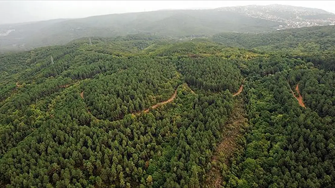 İçişleri Bakanlığı, Orman Yangınlarıyla Mücadele İçin Tedbirler Alıyor