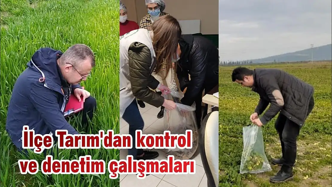 İlçe Tarım'dan kontrol ve denetim çalışmaları