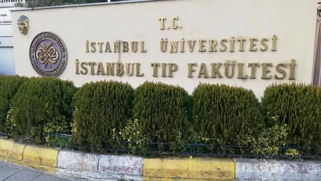 İstanbul Tıp Fakültesi, cinsiyet değişikliği ile ilgili makaleye inceleme başlattı