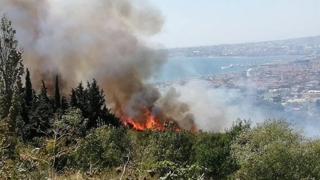 İstanbul'da ormanlık alanda yangın paniği !