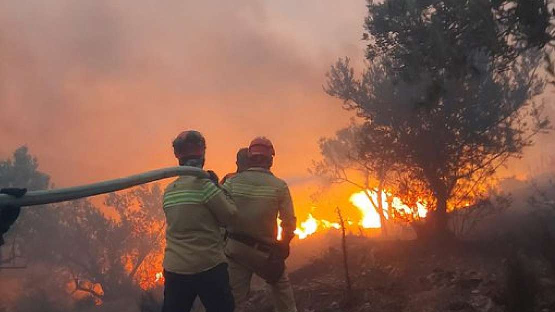 İzmir'de Alev Alarmı: Yangınlar Sürüyor, Tahliyeler Başladı