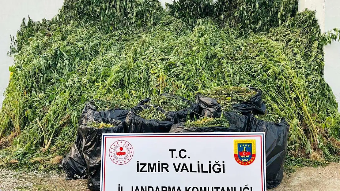 İzmir'de Jandarma'dan Uyuşturucu Operasyonu: 87 Şüpheli Yakalandı