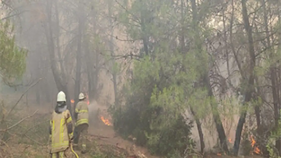 İzmir İtfaiyesi kentin dört bir yanında yangınlarla mücadele ediyor