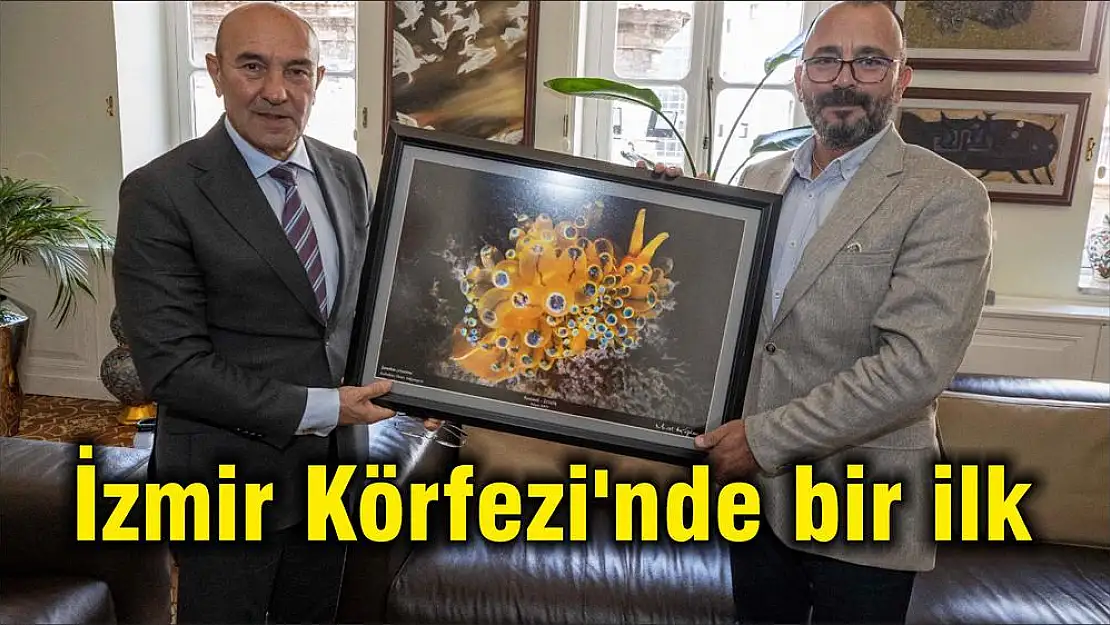 İzmir Körfezi'nde bir ilk