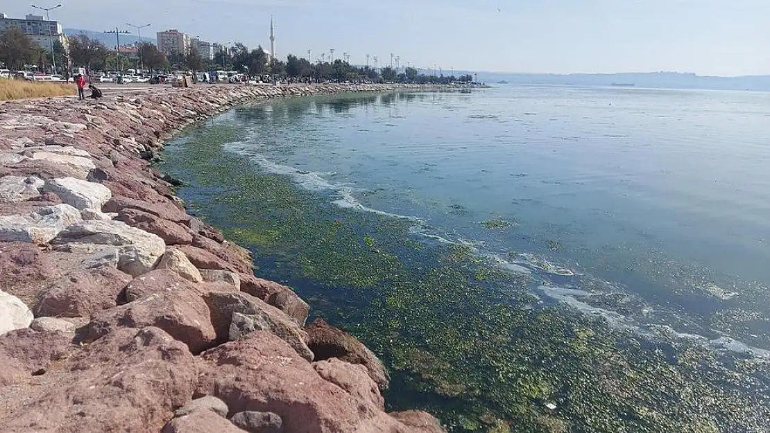 İzmir Körfezinde su altı incelemesi başlıyor